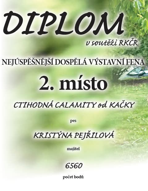 20.3.2025 2.místo nejúspěšnější dospělá výstavní fena