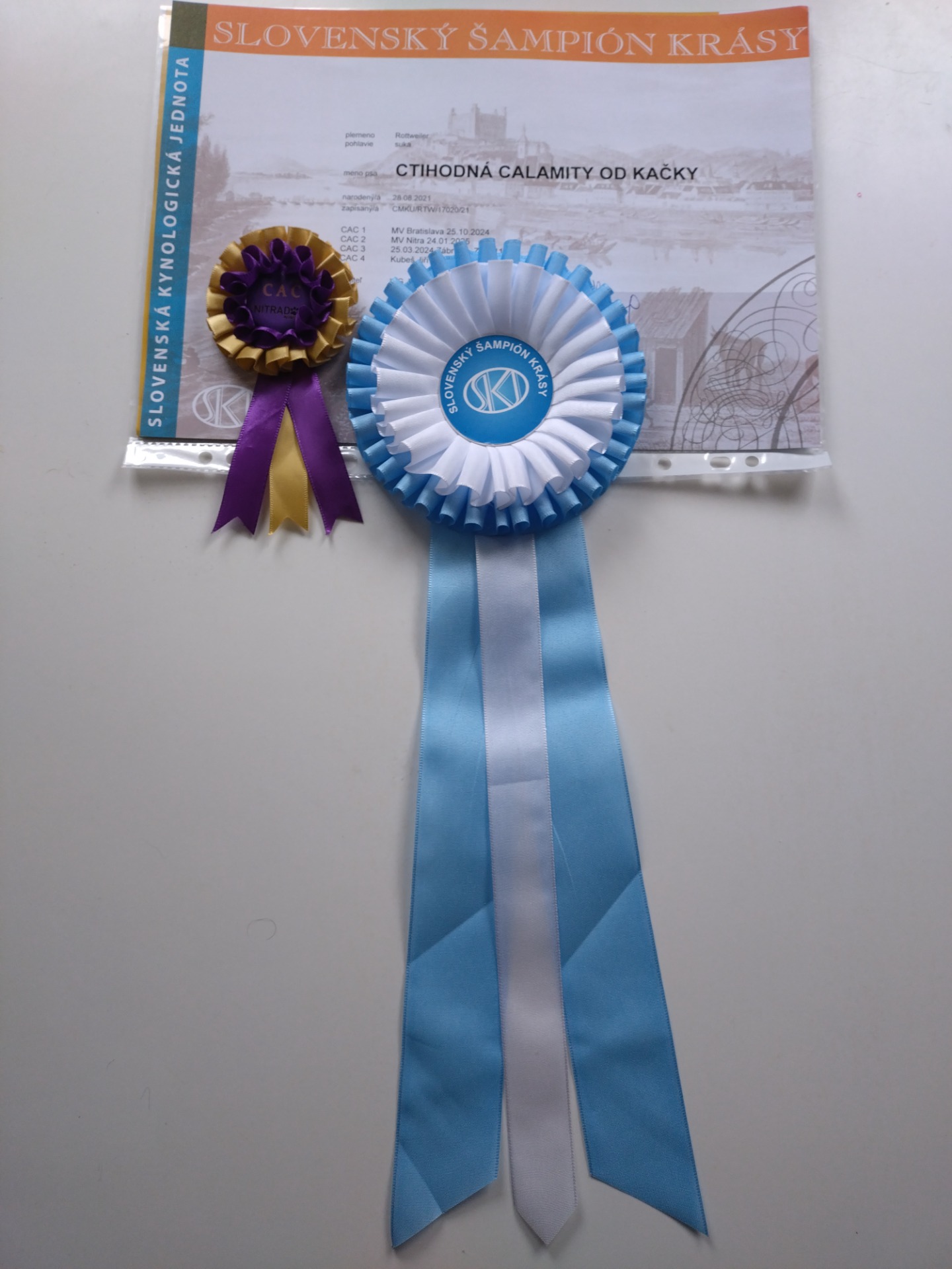 24.1.2025 CACIB Nitra