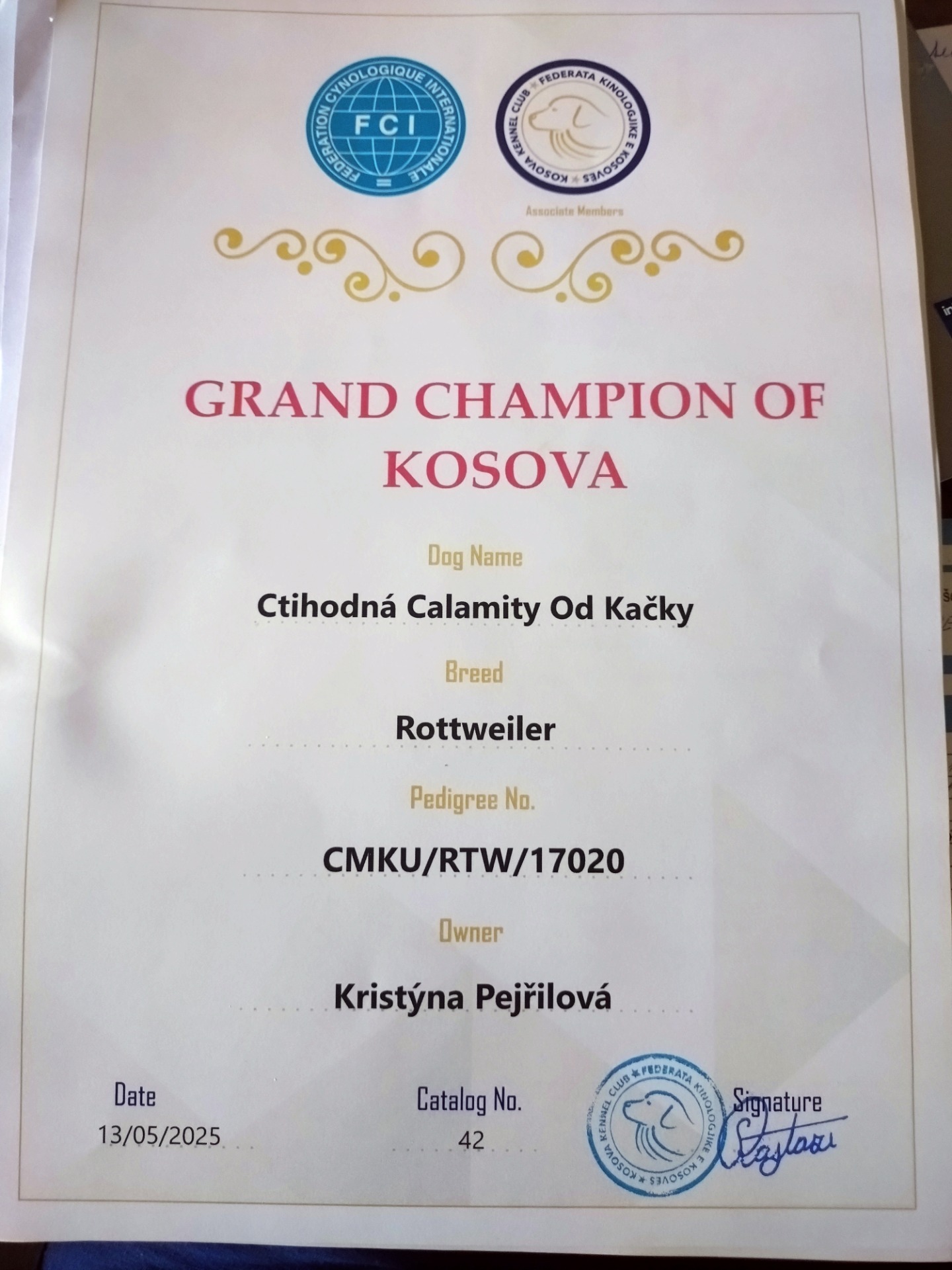 13.5.2025 Splněn titul Champion a GrandChampion Kosova